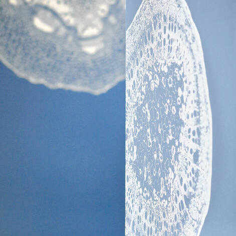 DET_DSC_2901_10_700pixel