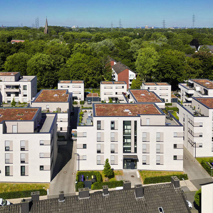 DJI_0490_bea_19_700pixel7wP6yeE2MyTKe