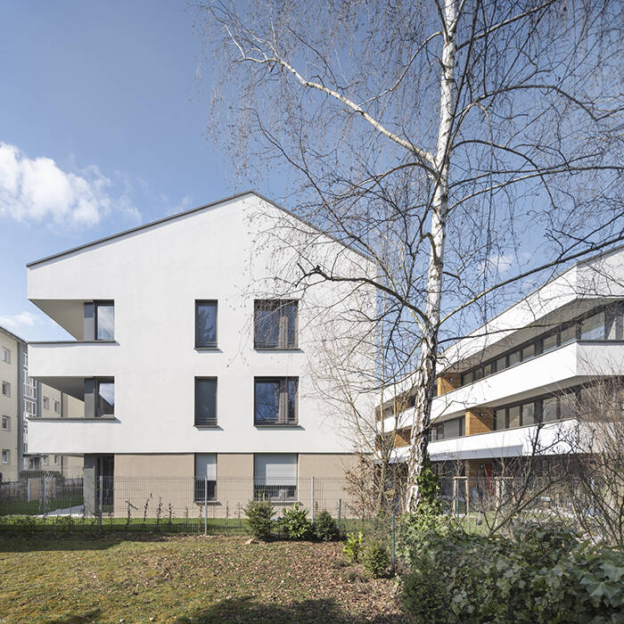 WH2081-1160_15_700pixel