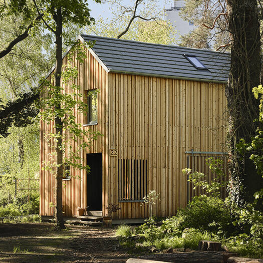 Waldhornweg_05_10_700pixel