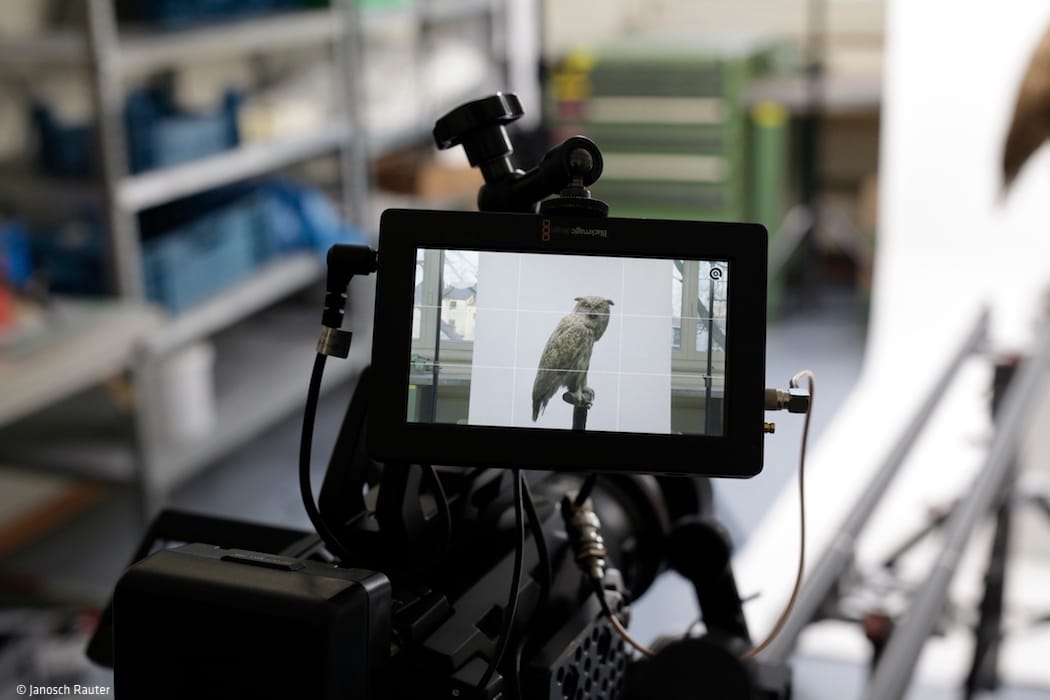 Hecke/Rauter/Thöricht: Der lange Abschied