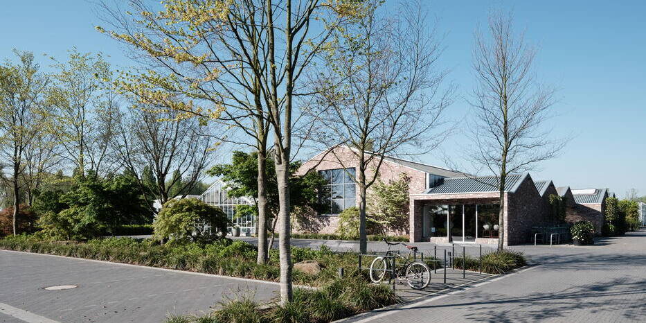 Vibrant and Inspiring