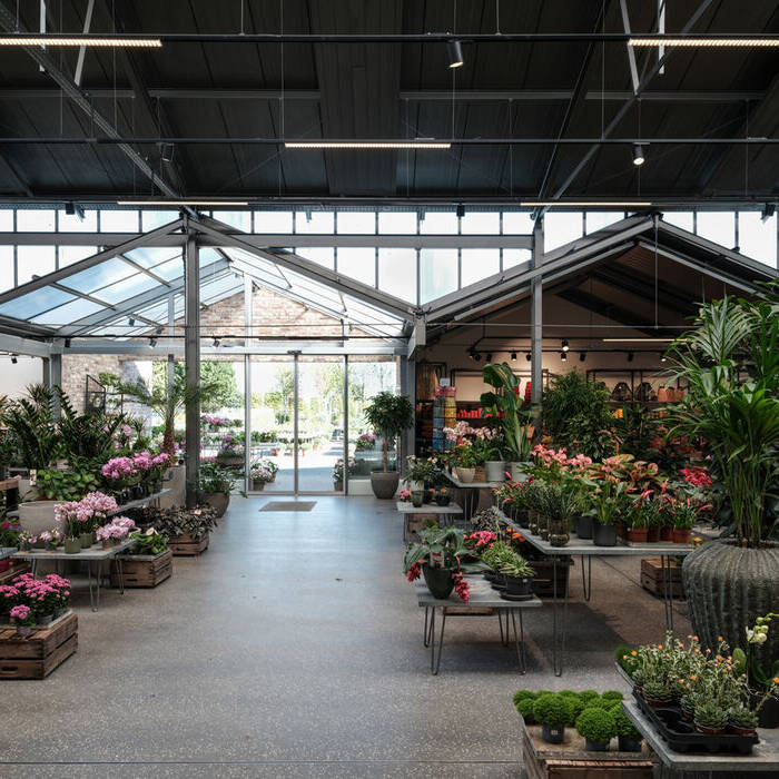 Lebendig und inspirierend