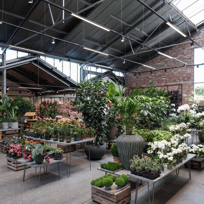 Lebendig und inspirierend