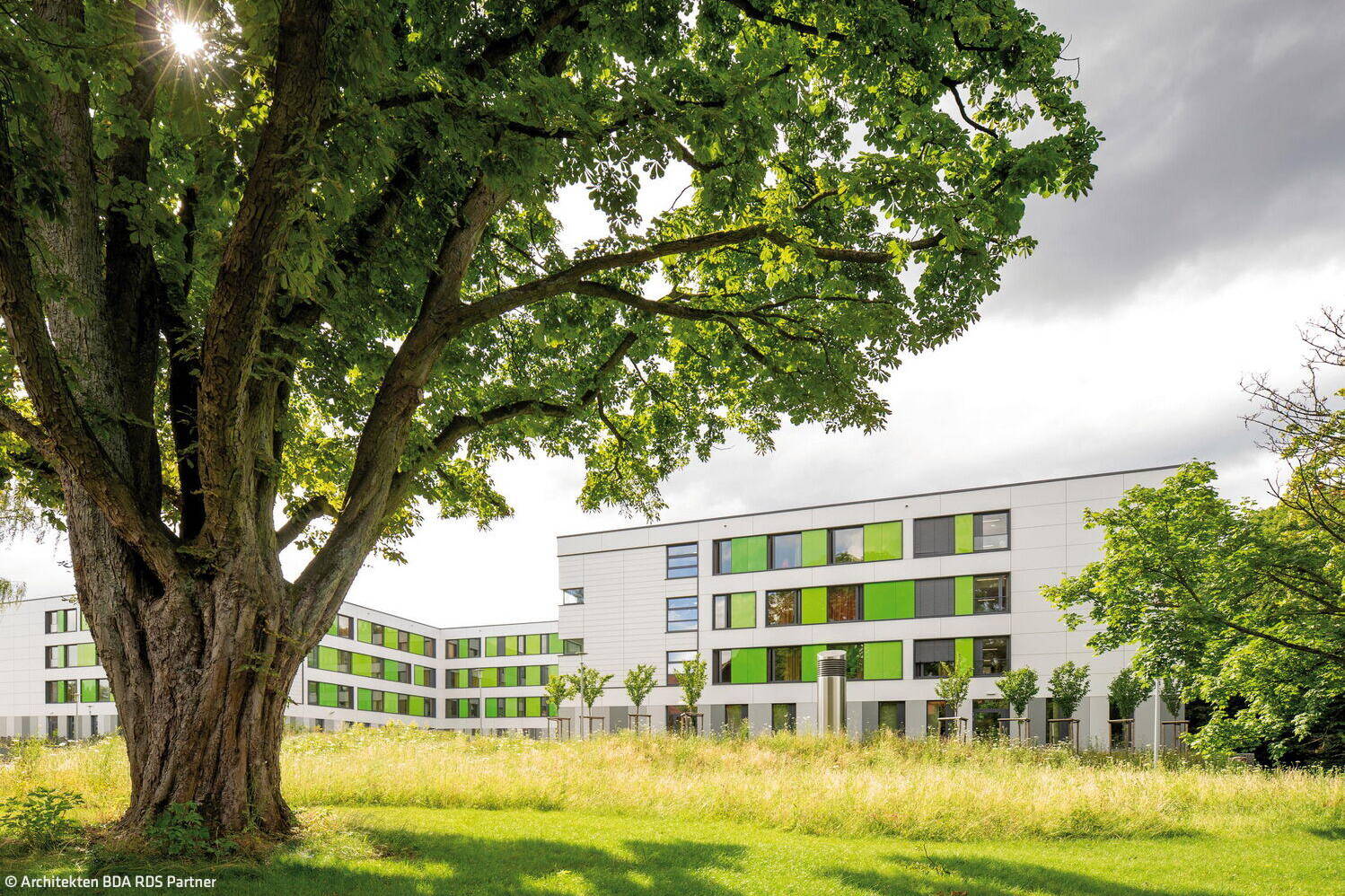 Genesung unterm Lindenbaum