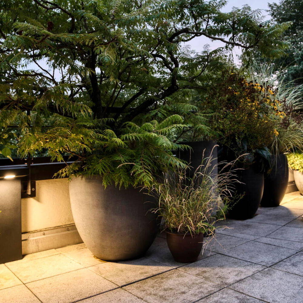 Licht für eine Oase in der Stadt