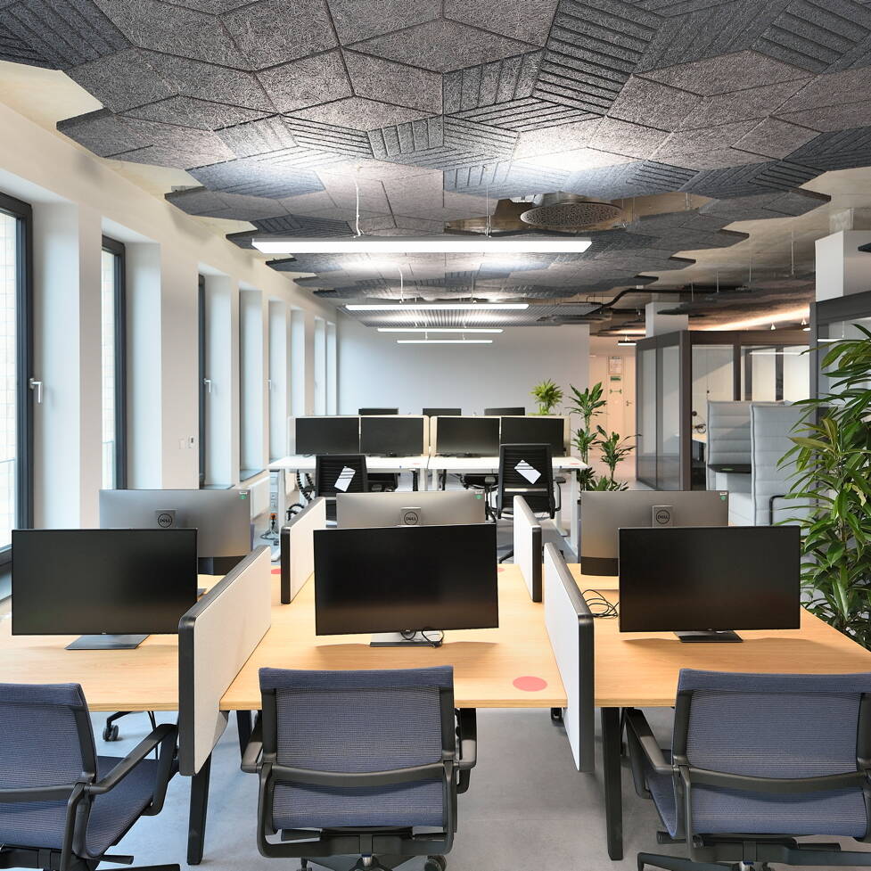 Akustikoptimiertes Open Office